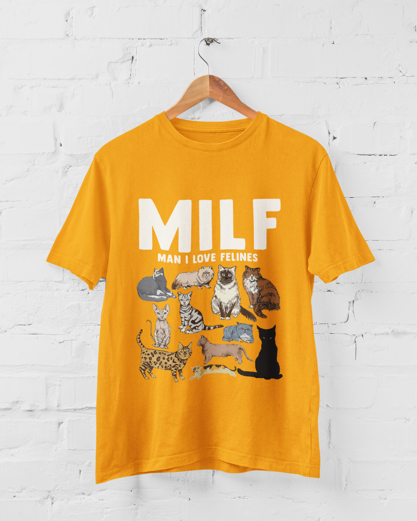 MIL FELINES