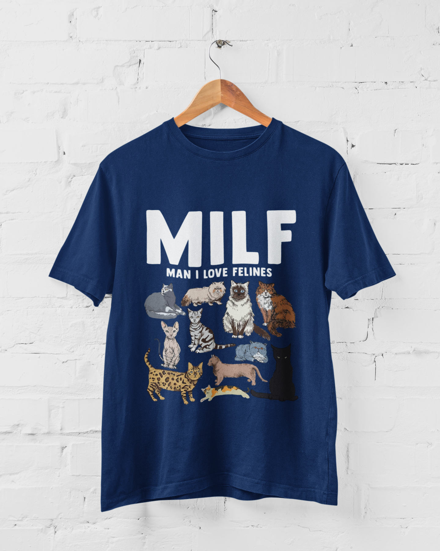 MIL FELINES